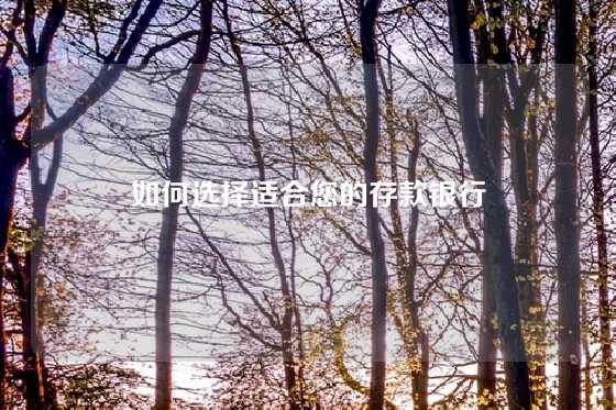 如何选择适合您的存款银行