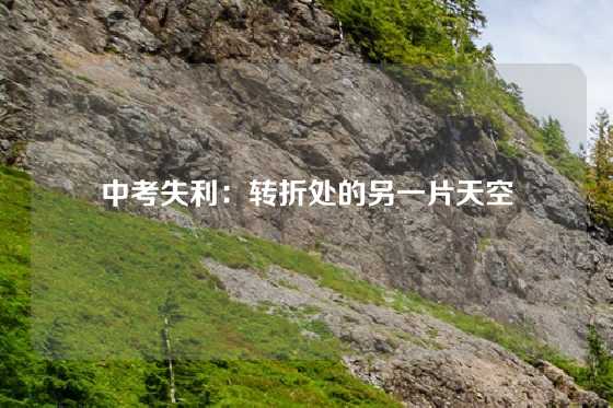 中考失利：转折处的另一片天空
