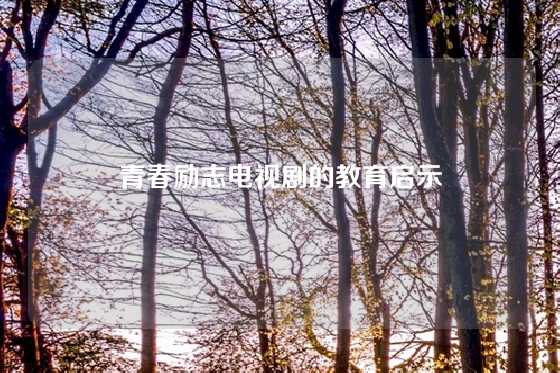 青春励志电视剧的教育启示