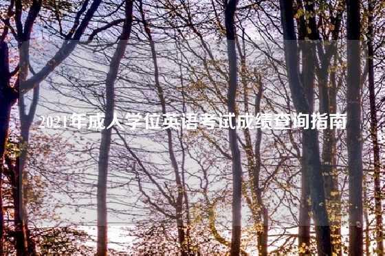 2021年成人学位英语考试成绩查询指南