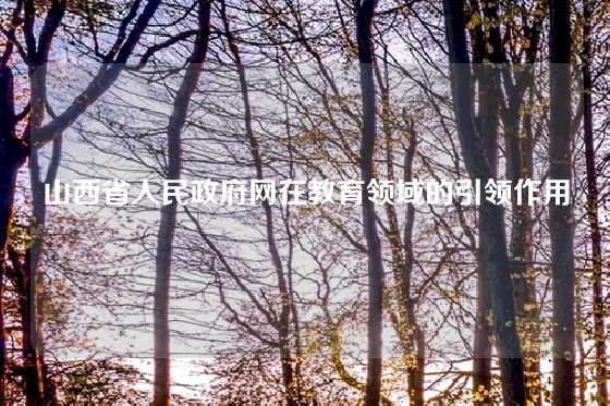 山西省人民政府网在教育领域的引领作用