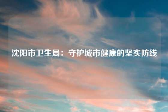 沈阳市卫生局：守护城市健康的坚实防线