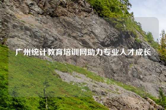 广州统计教育培训网助力专业人才成长