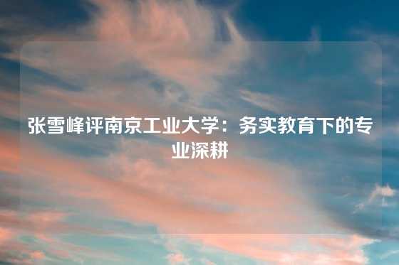 张雪峰评南京工业大学：务实教育下的专业深耕