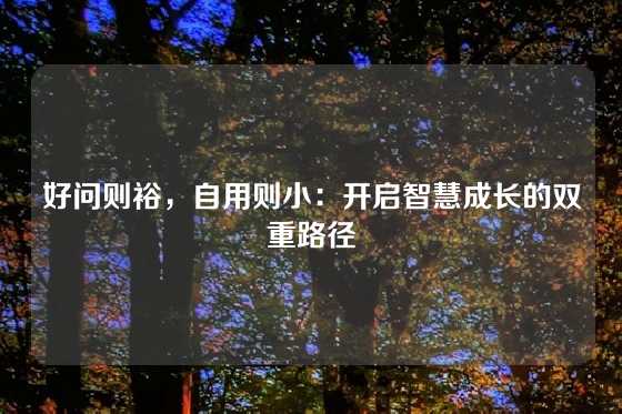 好问则裕，自用则小：开启智慧成长的双重路径