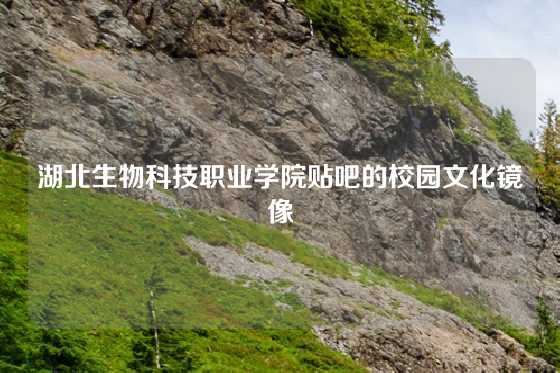 湖北生物科技职业学院贴吧的校园文化镜像