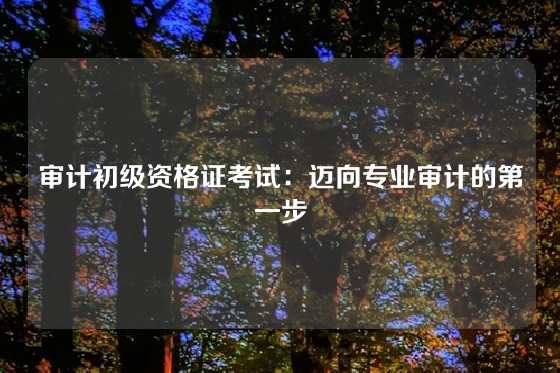 审计初级资格证考试：迈向专业审计的第一步